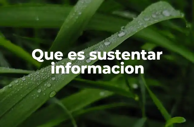 Que es Sustentar Informacion