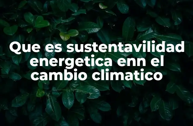 Que es Sustentavilidad Energetica Enn el Cambio Climatico
