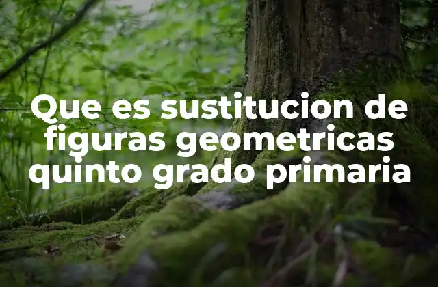 Que es Sustitucion de Figuras Geometricas Quinto Grado Primaria
