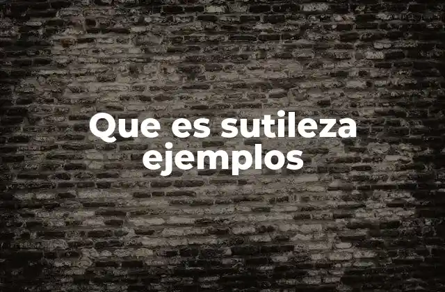 Que es Sutileza Ejemplos
