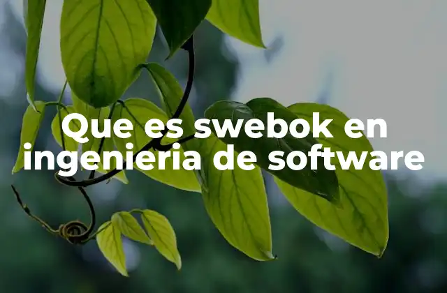 Que es Swebok en Ingenieria de Software