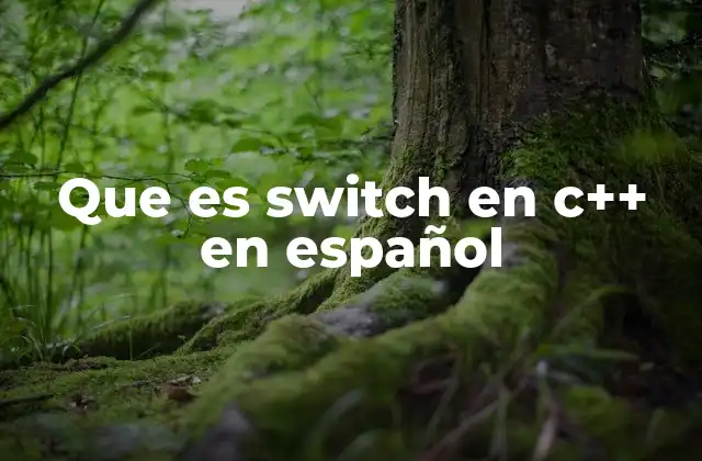 Que es Switch en C++ en Español