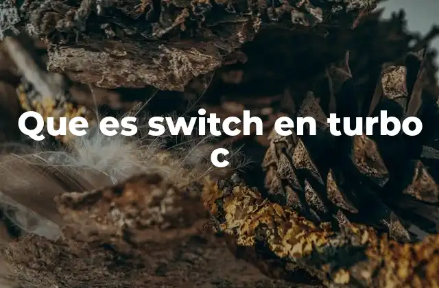 Que es Switch en Turbo C