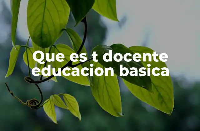 Que es T Docente Educacion Basica 2 El papel del docente en la formación temprana