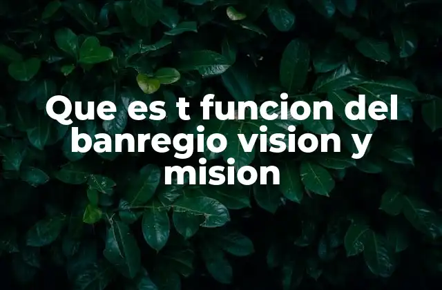 Que es T Funcion Del Banregio Vision y Mision