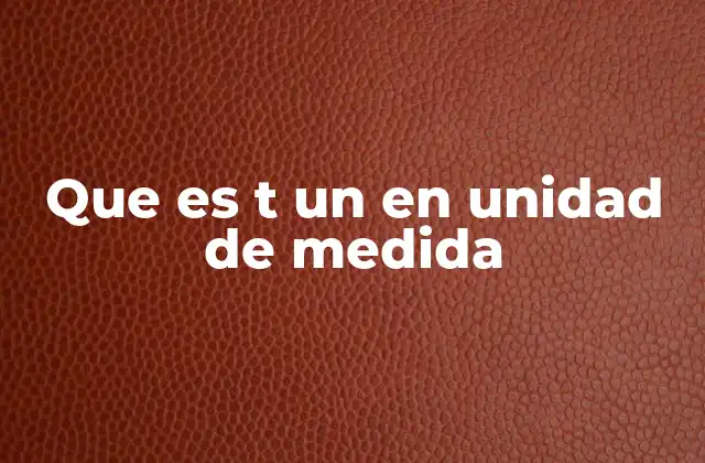 Que es T un en Unidad de Medida