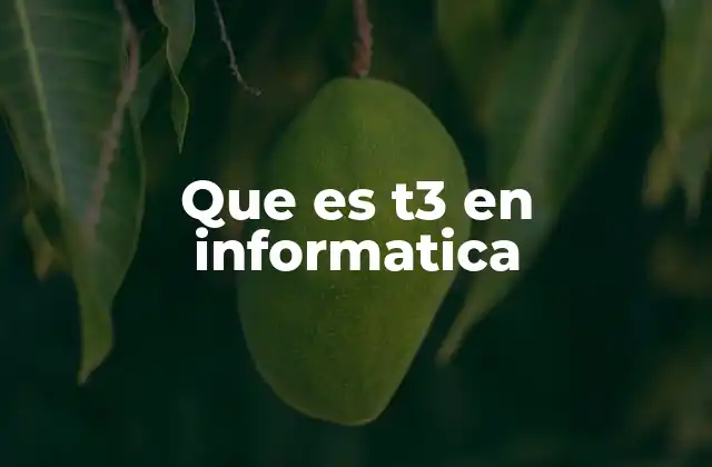 Que es T3 en Informatica 2 Aplicaciones de T3 en el ámbito tecnológico