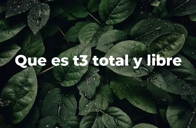 Que es T3 Total y Libre 2 La importancia de evaluar la función tiroidea