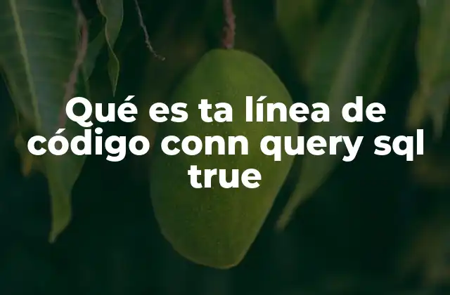 Qué es Ta Línea de Código Conn Query Sql True