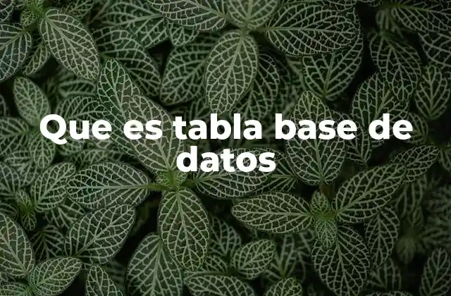 Que es Tabla Base de Datos