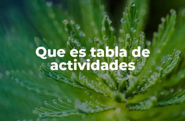 Que es Tabla de Actividades