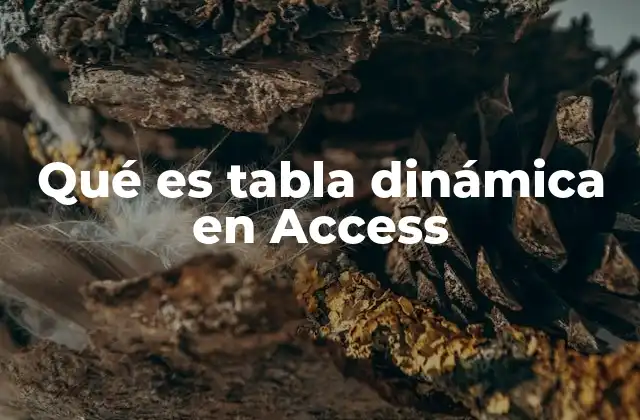 Qué es Tabla Dinámica en Access