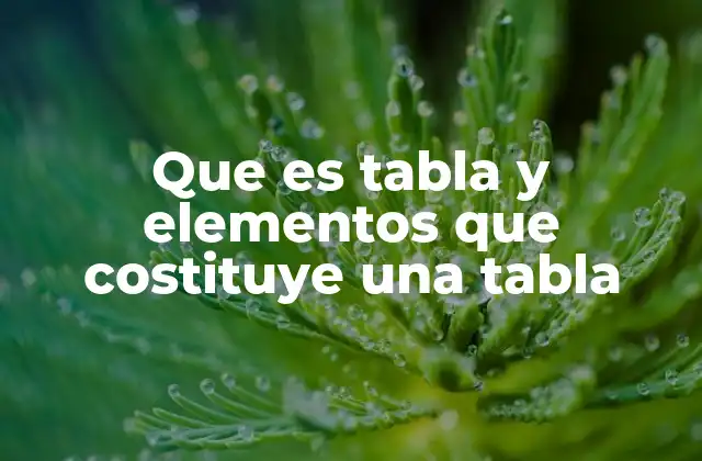 Que es Tabla y Elementos que Costituye una Tabla 2 La importancia de la estructura en la presentación de datos
