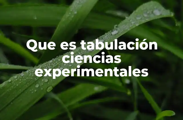 La importancia de organizar datos en investigaciones científicas