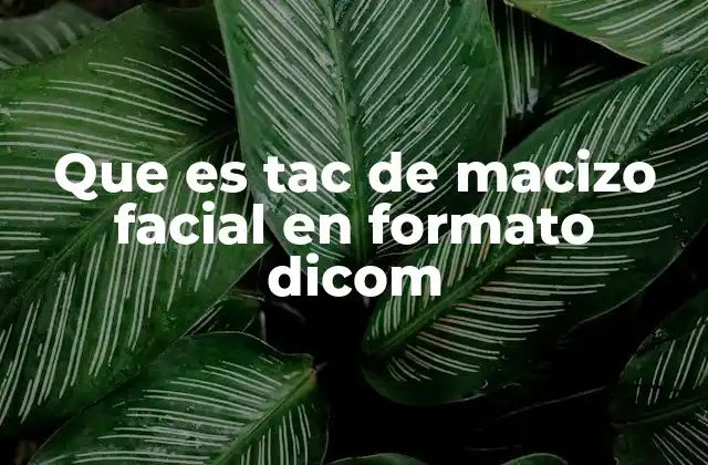 Que es Tac de Macizo Facial en Formato Dicom