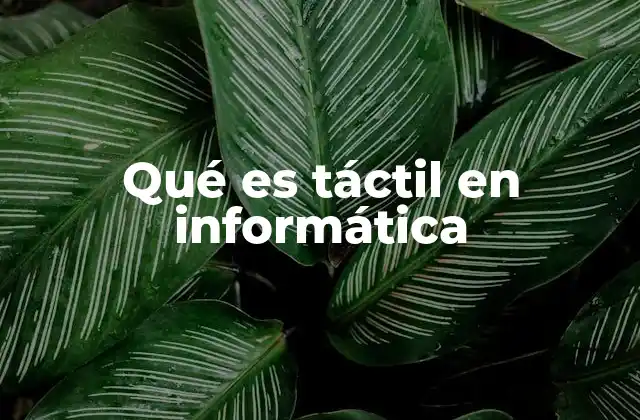 Qué es Táctil en Informática