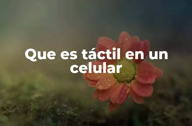 Que es Táctil en un Celular