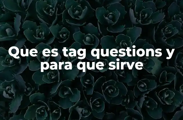 Que es Tag Questions y para que Sirve