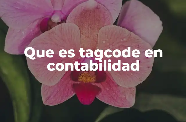 Que es Tagcode en Contabilidad