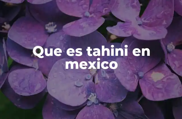 Que es Tahini en Mexico