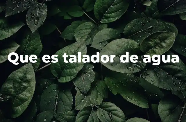 Que es Talador de Agua