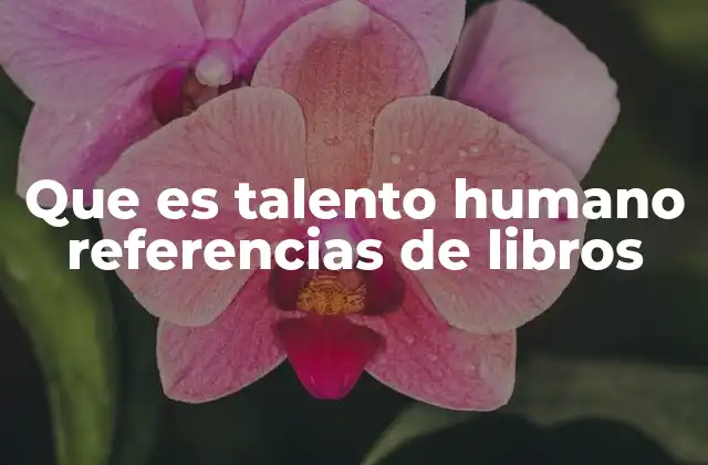 Que es Talento Humano Referencias de Libros