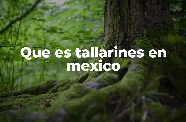 Que es Tallarines en Mexico