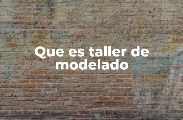 Que es Taller de Modelado