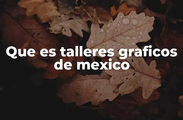 Que es Talleres Graficos de Mexico