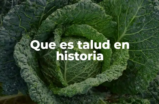 Que es Talud en Historia