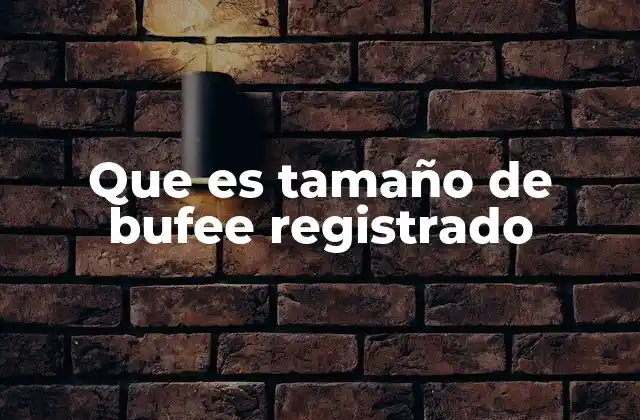 Que es Tamaño de Bufee Registrado