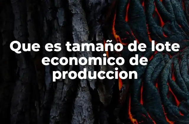 Que es Tamaño de Lote Economico de Produccion