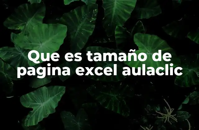 Que es Tamaño de Pagina Excel Aulaclic