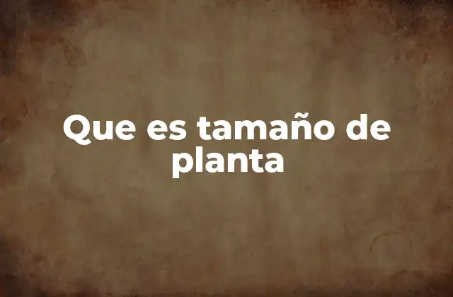 Que es Tamaño de Planta
