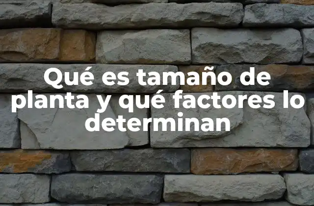 Qué es Tamaño de Planta y Qué Factores Lo Determinan