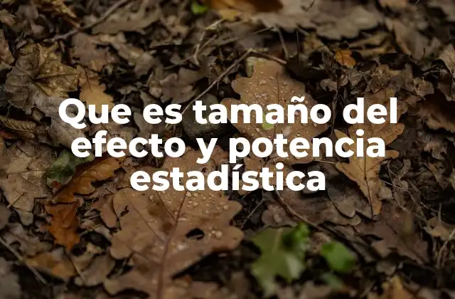 Que es Tamaño Del Efecto y Potencia Estadística