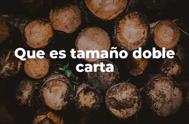 Que es Tamaño Doble Carta