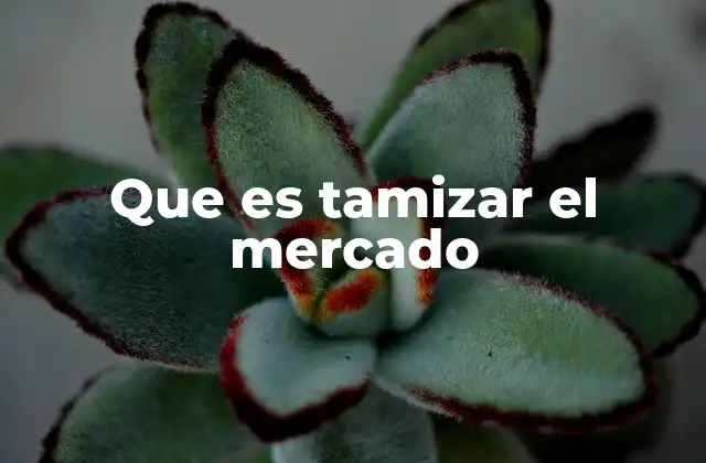 Que es Tamizar el Mercado