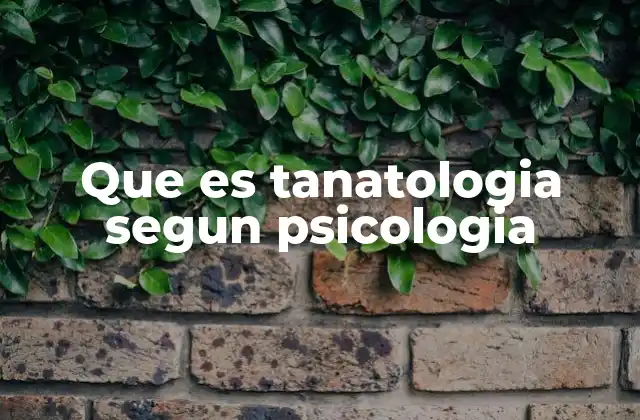 Que es Tanatologia Segun Psicologia