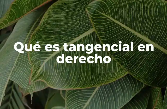 Qué es Tangencial en Derecho