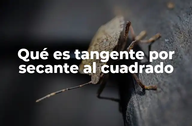 Qué es Tangente por Secante Al Cuadrado