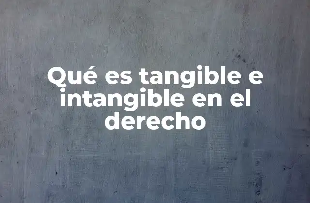 Qué es Tangible e Intangible en el Derecho