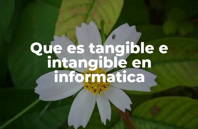 Que es Tangible e Intangible en Informatica