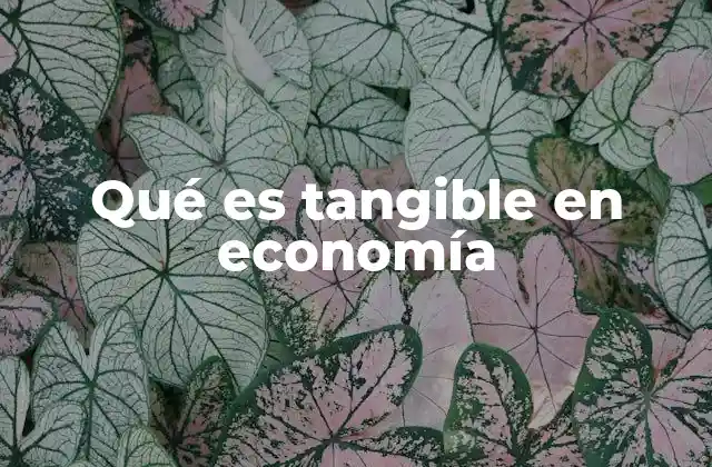 La importancia de los bienes físicos en la economía moderna