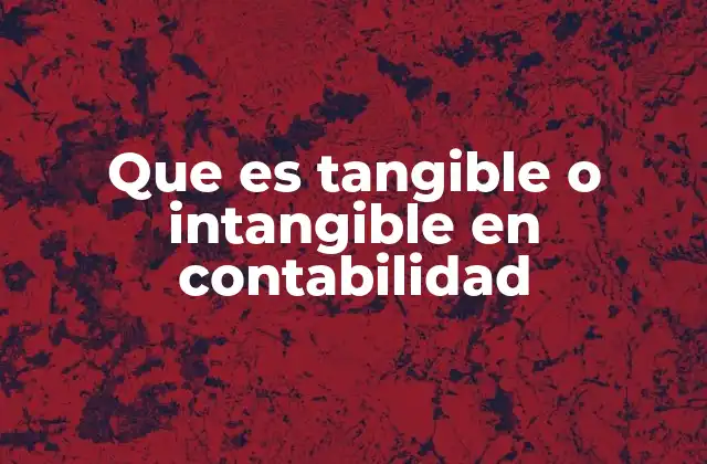 Que es Tangible o Intangible en Contabilidad