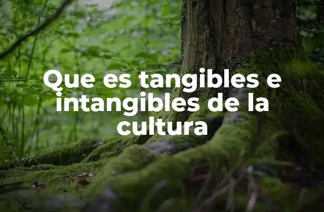 Que es Tangibles e Intangibles de la Cultura