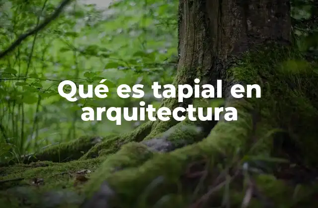 Qué es Tapial en Arquitectura 2 La relevancia del tapial en la arquitectura tradicional