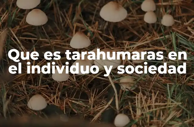 La identidad Tarahumara como pilar cultural y social