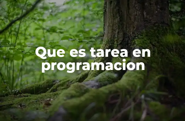 Que es Tarea en Programacion