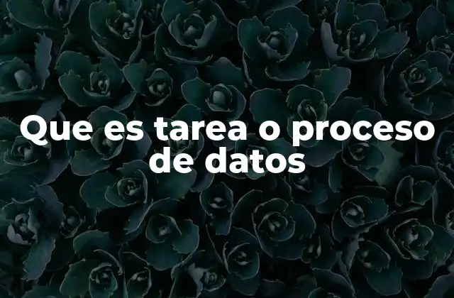 Que es Tarea o Proceso de Datos
